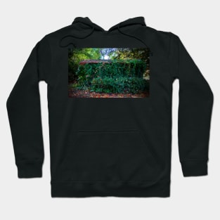 Hidden Shed Hoodie